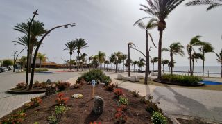 2024-03-Playa_La_Caleta-055.jpg